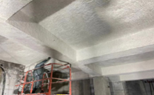 防火蜜桃六月天综合网蜜桃APP视频网站在线观看