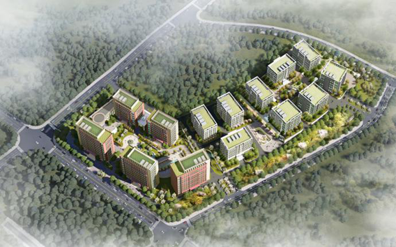 青岛国际院士研究院